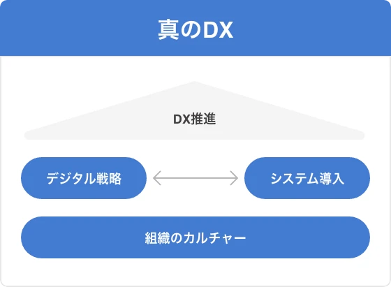 真のDX：デジタル戦略・システム導入・組織のカルチャーを統合したDX推進
